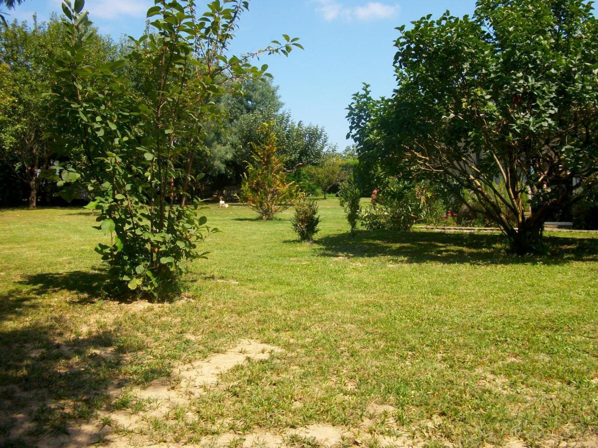 Bed and Breakfast Domaine De Monein Saint-André-de-Cubzac Exterior foto