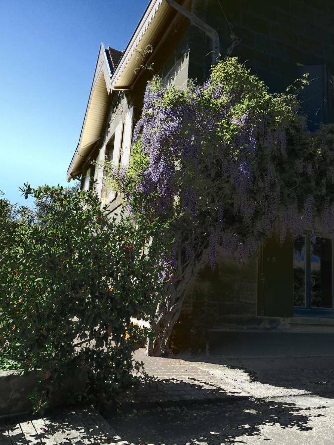 Bed and Breakfast Domaine De Monein Saint-André-de-Cubzac Exterior foto